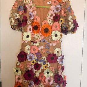 Elliatt Floral Embroidered Peach Mesh Dress